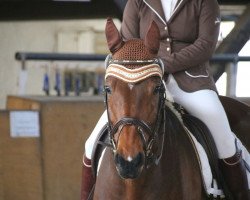 dressage horse Dallmayr 3 (Hessian Warmblood, 2002, from Dartagnan)