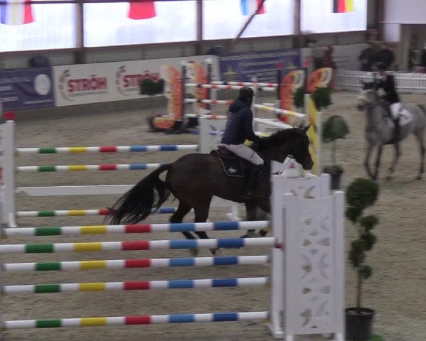 Nordic Jumping events 2019