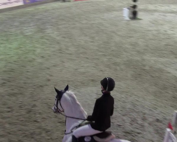 Nordic Jumping events 2019