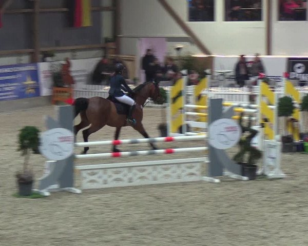 Nordic Jumping events 2019