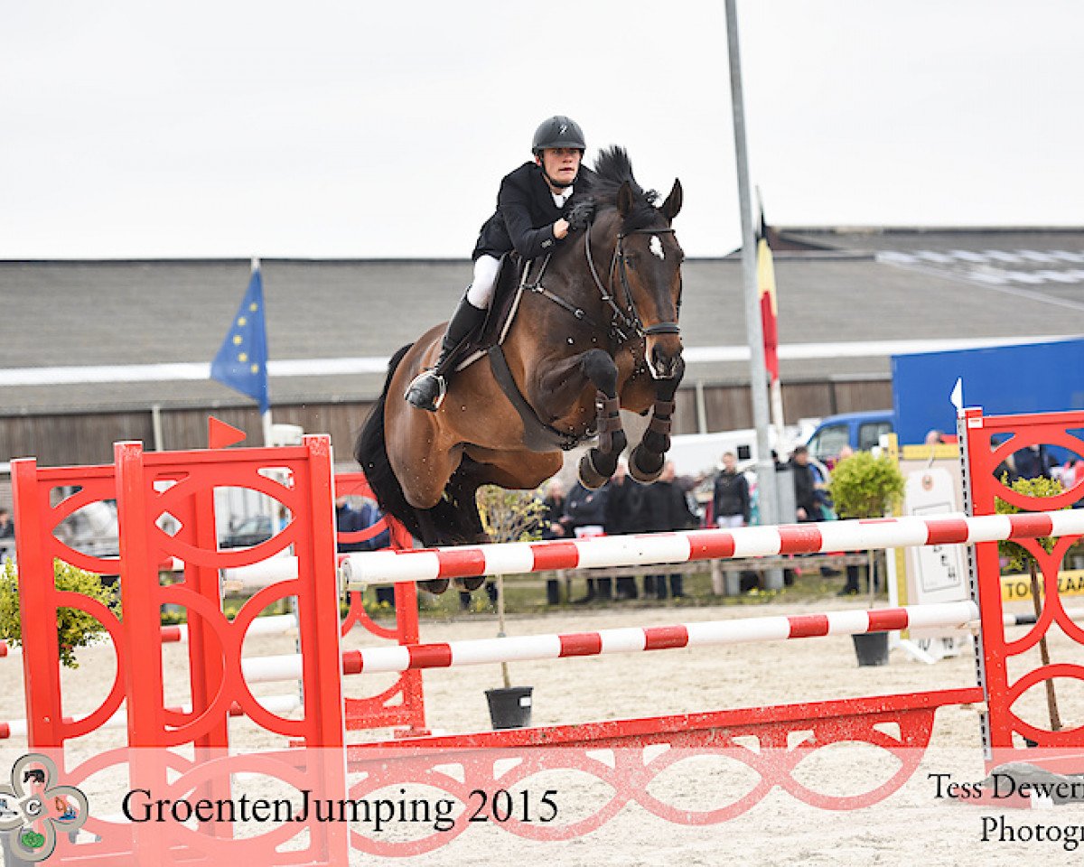 Springpferd Isabelle van het Netehof (Belgisches Warmblut, 2008, von Crawford)