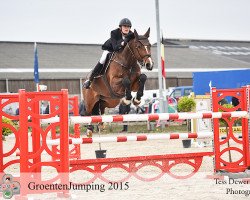 Springpferd Iluna van het Netehof (Belgisches Warmblut, 2008, von Casall)