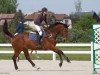 jumper Aurelian 4 (KWPN (Royal Dutch Sporthorse), 2005, from Ovidius)