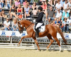 stallion Carlo (German Riding Pony, 2012, from FS Cracker Jack)