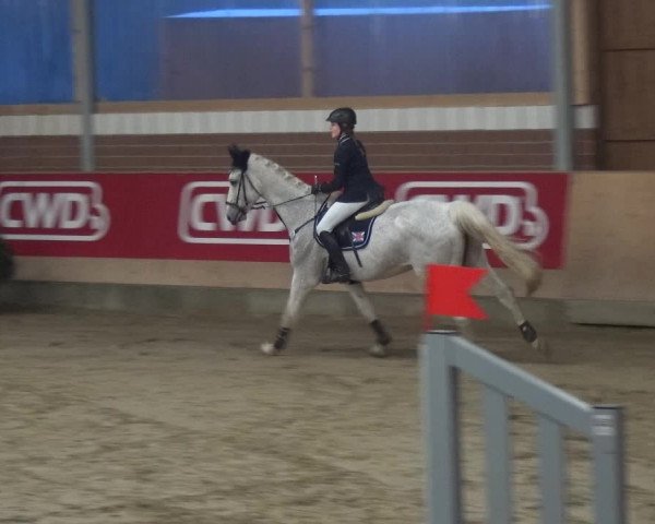 Reitturnier Kaldenkirchen - Gestüt Seehof 2019