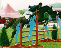 broodmare Almera (Polish Warmblood, 2001, from Rubin)