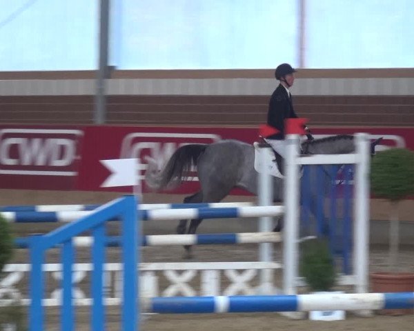 Reitturnier Kaldenkirchen - Gestüt Seehof 2019