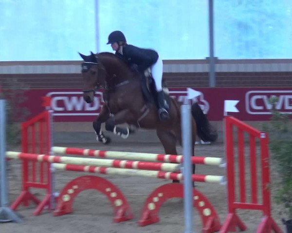 Reitturnier Kaldenkirchen - Gestüt Seehof 2019