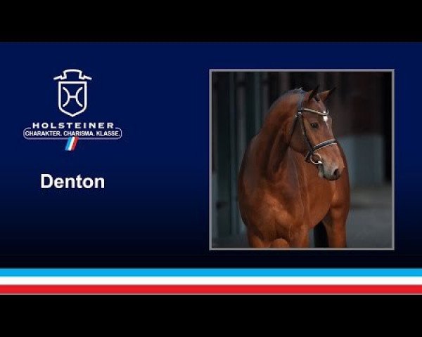 Deckhengst Denton (Holsteiner, 2014, von Diamant de Semilly)