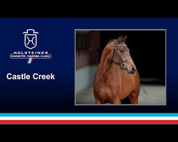 stallion Castle Creek (Holsteiner, 2014, from Casall Ask)