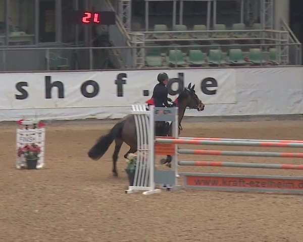 Reitturnier Kreuth/Opf. 2019