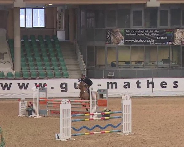 Reitturnier Kreuth/Opf. 2019