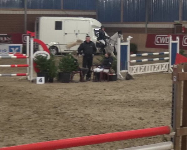 Reitturnier Kaldenkirchen - Gestüt Seehof 2019