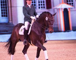 dressage horse Feiner Fürst (Oldenburger, 2011, from Fürstenball)