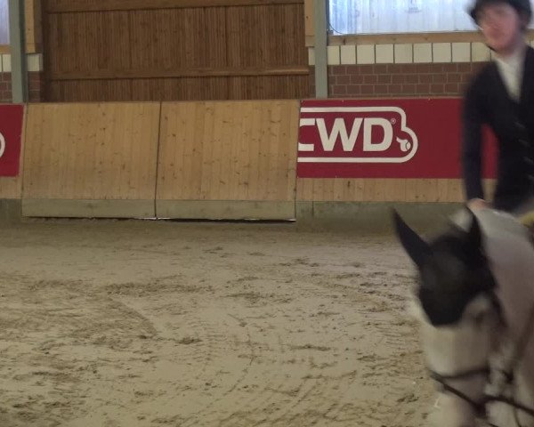 Reitturnier Kaldenkirchen - Gestüt Seehof 2019