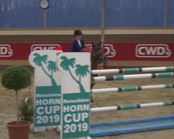 Reitturnier Kaldenkirchen - Gestüt Seehof 2019