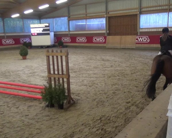 Reitturnier Kaldenkirchen - Gestüt Seehof 2019
