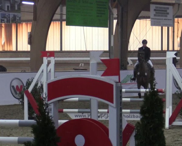 Reitturnier Barlo-Bocholt 2019