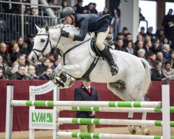 stallion My Blue Pleasure (Zangersheide riding horse, 2010, from Mr Blue)