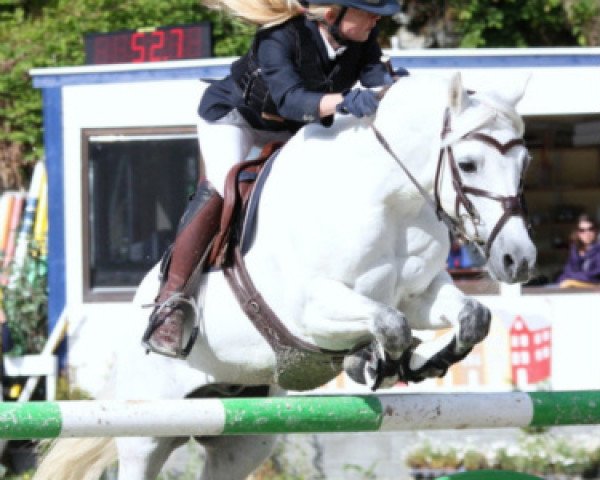 horse Korreborgs Kashmir (Welsh-Pony (Section B), 1997, from Møllegaards Sputnik)