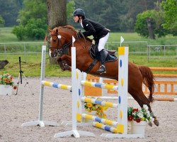 broodmare Totu (Polish Pony, 2003, from Domingo)