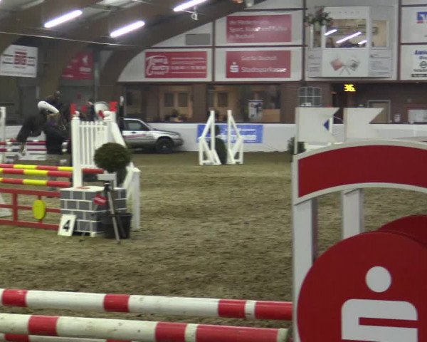 Reitturnier Barlo-Bocholt 2019