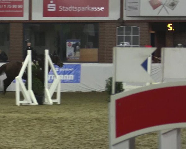 Reitturnier Barlo-Bocholt 2019