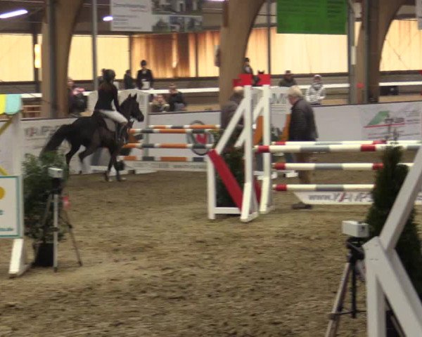 Reitturnier Barlo-Bocholt 2019