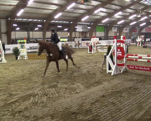 Reitturnier Barlo-Bocholt 2019