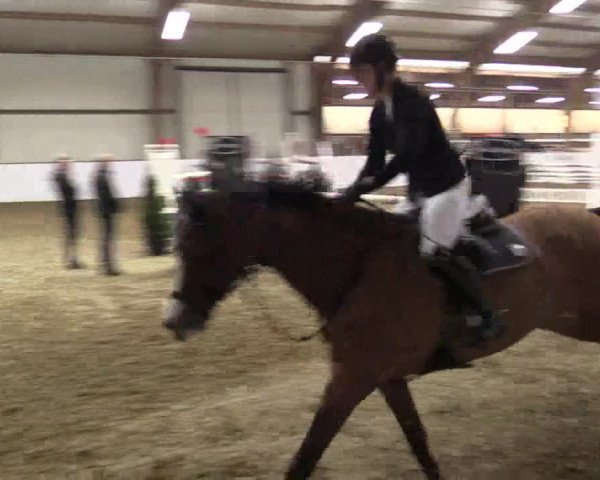 Reitturnier Barlo-Bocholt 2019