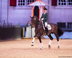 dressage horse Feiner Fürst (Westphalian, 2010, from Fürst Nymphenburg)