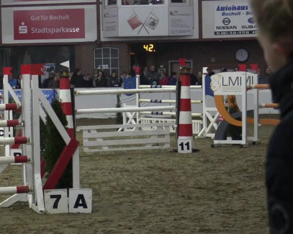 Reitturnier Barlo-Bocholt 2019