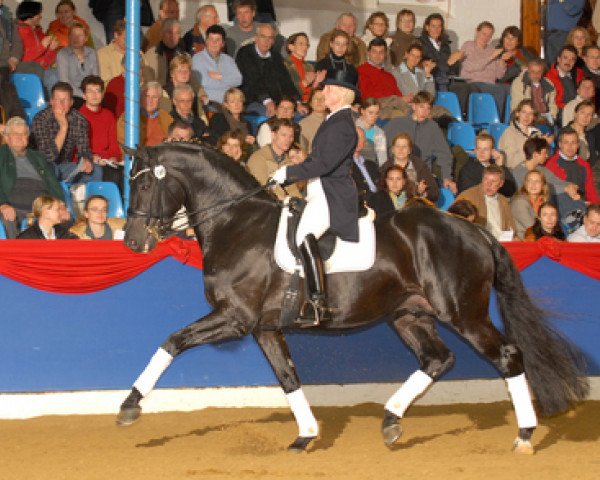stallion Rosario (Oldenburg, 1999, from Rubinstein I)