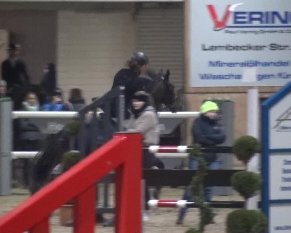 Reitturnier Heiden 2019