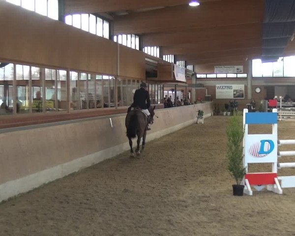 Reitturnier Heiden 2019