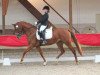 dressage horse Lucinda 57 (Hanoverian, 2009, from Locksley II)