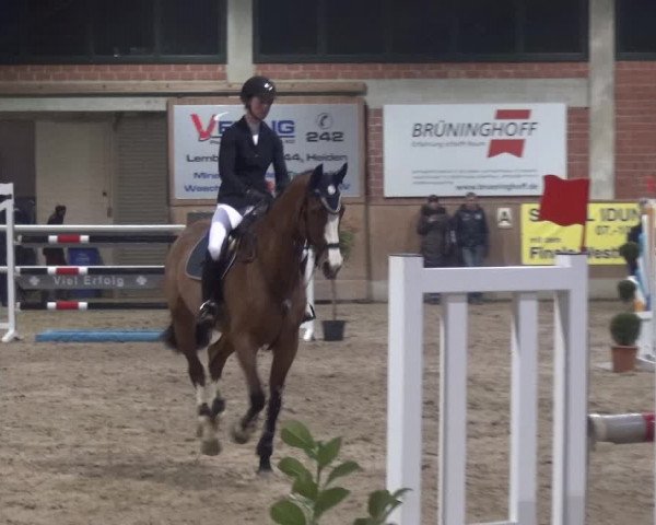Reitturnier Heiden 2019