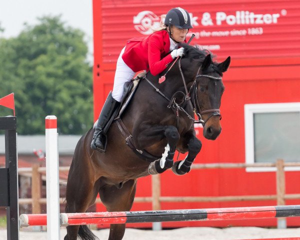 jumper Cancones 2 (Hanoverian, 2010, from Cantoblanco)