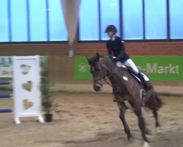Reitturnier Heiden 2019