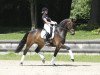 dressage horse Floricio V (Westphalian, 2012, from Florentinus V 219 FIN)