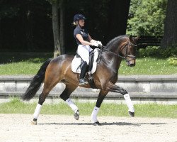 dressage horse Floricio V (Westphalian, 2012, from Florentinus V 219 FIN)