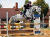 jumper Conny 373 (German Sport Horse, 2007, from Claudio's Son)