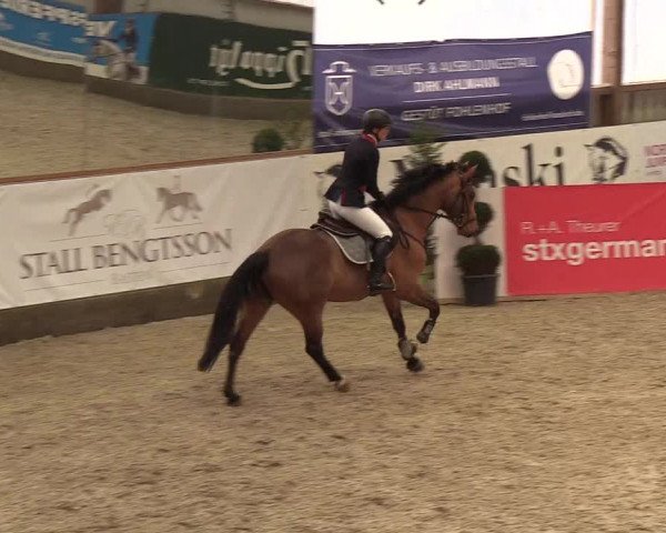 Nordic Jumping events 2019