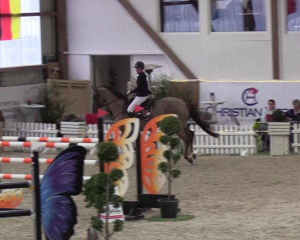 Nordic Jumping events 2019
