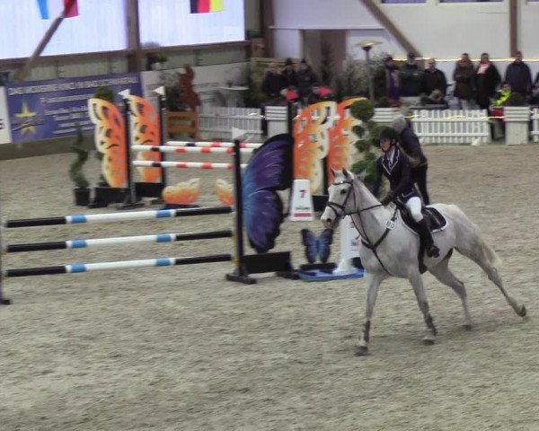 Nordic Jumping events 2019