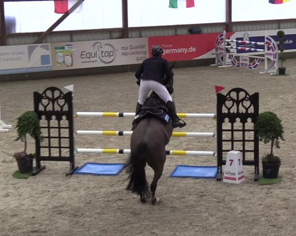 Nordic Jumping events 2019