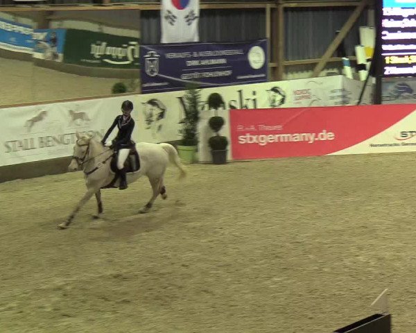 Nordic Jumping events 2019