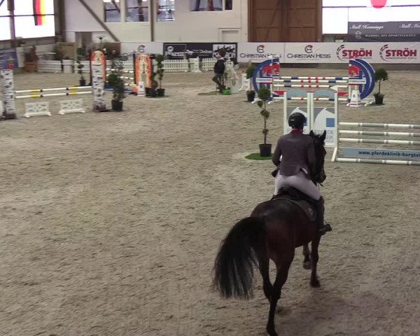 Nordic Jumping events 2019