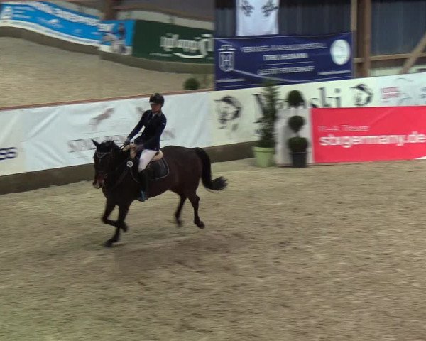 Nordic Jumping events 2019