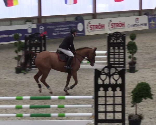 Nordic Jumping events 2019